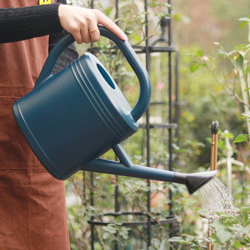 Il y a plusieurs précautions à prendre lors de l'utilisation d'un arrosoir pour arroser les fleurs